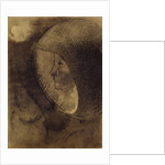 Cellular Face, 1895 by Odilon Redon