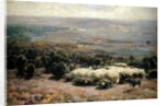 A Herd of Sheep in the Luneburger Heide, 1902 by Heinrich Johann von Zugel