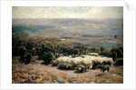 A Herd of Sheep in the Luneburger Heide, 1902 by Heinrich Johann von Zugel