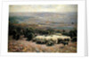 A Herd of Sheep in the Luneburger Heide, 1902 by Heinrich Johann von Zugel