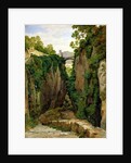 Rocky Ravine at Sorrento, 1823 by Heinrich Reinhold
