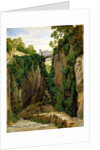 Rocky Ravine at Sorrento, 1823 by Heinrich Reinhold