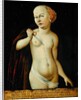 Lucrezia, 1536 by Franz Timmermann
