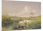 Geese Grazing, 1854 by Otto Speckter