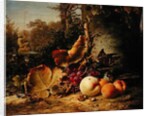 Fruit and Sparrows, 1863 by Johann Wilhelm Preyer
