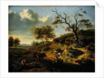 Landscape, 1659 by Jan Wynants