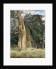 Old elms in Prater, 1831 by Ferdinand Georg Waldmuller