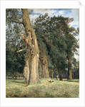 Old elms in Prater, 1831 by Ferdinand Georg Waldmuller
