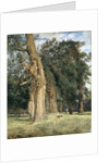 Old elms in Prater, 1831 by Ferdinand Georg Waldmuller