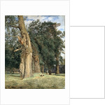 Old elms in Prater, 1831 by Ferdinand Georg Waldmuller