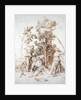 The Death of Orpheus, 1494 by Albrecht Dürer