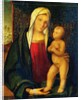 Madonna and Child by Boccaccio Boccaccino