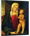 Madonna and Child by Boccaccio Boccaccino