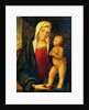 Madonna and Child by Boccaccio Boccaccino