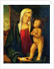 Madonna and Child by Boccaccio Boccaccino