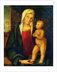 Madonna and Child by Boccaccio Boccaccino