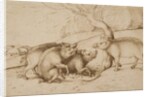 The Boar Family by Martin Schongauer