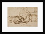The Boar Family by Martin Schongauer