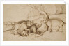 The Boar Family by Martin Schongauer