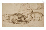 The Boar Family by Martin Schongauer