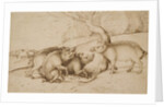 The Boar Family by Martin Schongauer