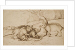 The Boar Family by Martin Schongauer