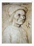 Portrait of Konrad Wurffel by Hans Holbein the Elder