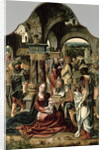 The Adoration of the Magi by Nicolaus van Aelst