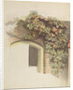 Grapevines on a Brick House, 1832 by Johann Martin Gensler