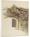 Grapevines on a Brick House, 1832 by Johann Martin Gensler