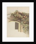 Grapevines on a Brick House, 1832 by Johann Martin Gensler
