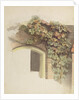 Grapevines on a Brick House, 1832 by Johann Martin Gensler