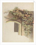 Grapevines on a Brick House, 1832 by Johann Martin Gensler