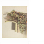 Grapevines on a Brick House, 1832 by Johann Martin Gensler