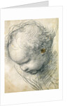 Head of a Cherub by Raphael