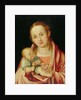 Mary and her Child by Albrecht Dürer or Duerer
