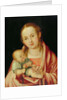 Mary and her Child by Albrecht Dürer or Duerer