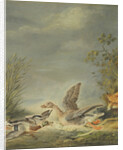 Fox and Waterfowl by Johann Friedrich August Tischbein