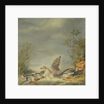 Fox and Waterfowl by Johann Friedrich August Tischbein
