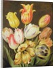Flower Study by Johann Friedrich August Tischbein