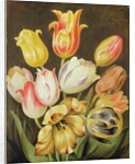 Flower Study by Johann Friedrich August Tischbein