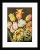 Flower Study by Johann Friedrich August Tischbein