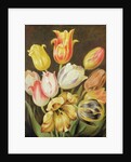 Flower Study by Johann Friedrich August Tischbein