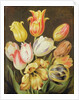 Flower Study by Johann Friedrich August Tischbein