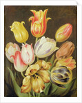 Flower Study by Johann Friedrich August Tischbein