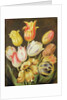Flower Study by Johann Friedrich August Tischbein