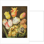 Flower Study by Johann Friedrich August Tischbein