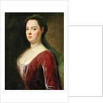 Portrait of Frau Denner by Balthasar Denner