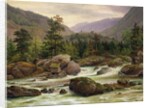 Norwegian Waterfall, 1840 by Thomas Fearnley