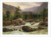 Norwegian Waterfall, 1840 by Thomas Fearnley